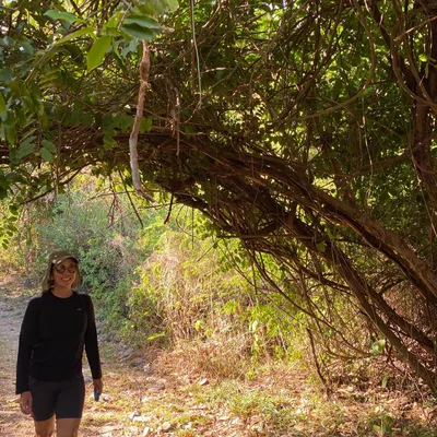 Passeio