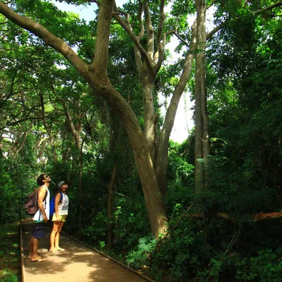 Passeio
