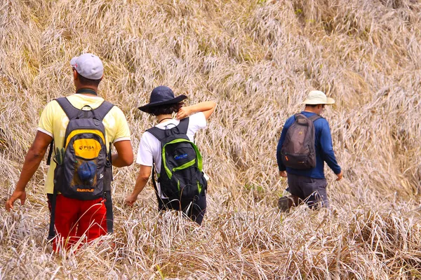 Passeio