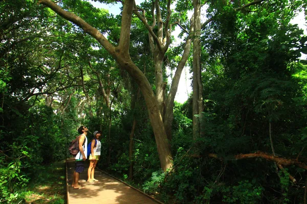 Passeio