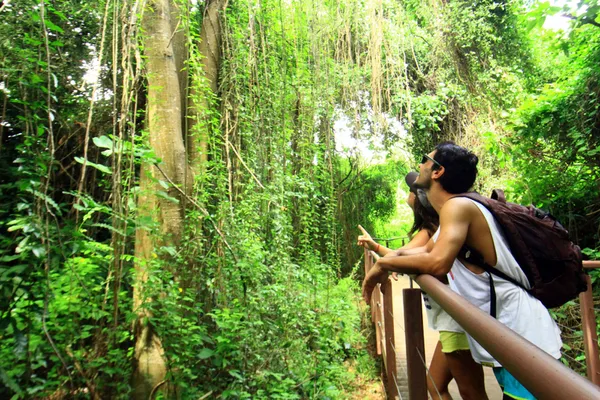 Passeio