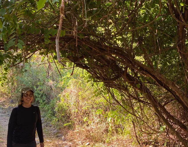 Passeio