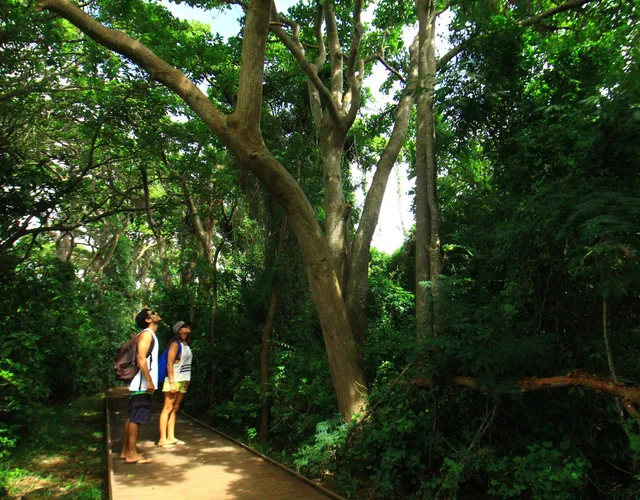 Passeio