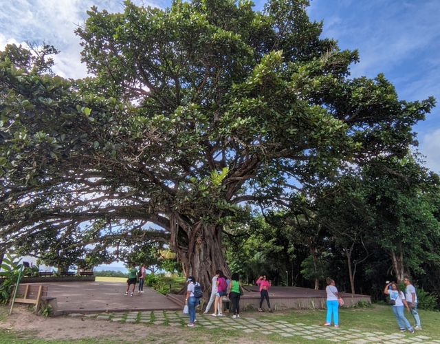 Passeio