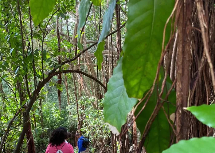 Passeio